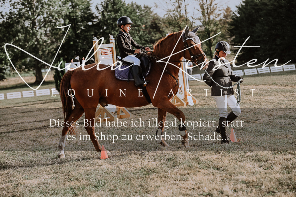 DSC_0076 | Pferde- und Turnierfotografie in Westsachsen. Pferdeportraits, Auftragszeichnungen und intuitive Kunst.