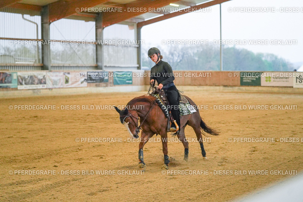 DSC09525 | Pferdegrafie