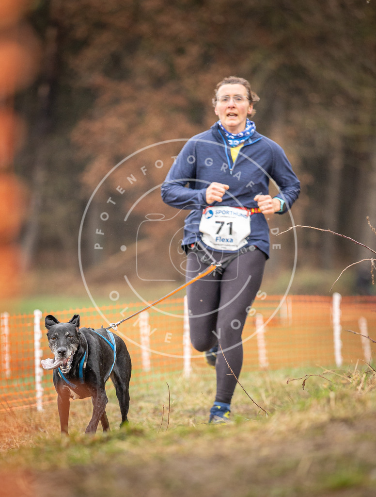 DV3A0219 | Hundefotografie, Tierfotograf, Pfotenfotografie, Fotoshooting Hund, Hunde Portrait, Hundesport, Hundeportraits, Heideshooting, Hunde, Sportfotograf, Hundefotograf, Turnierhundsport, THS,  - Realisiert mit Pictrs.com