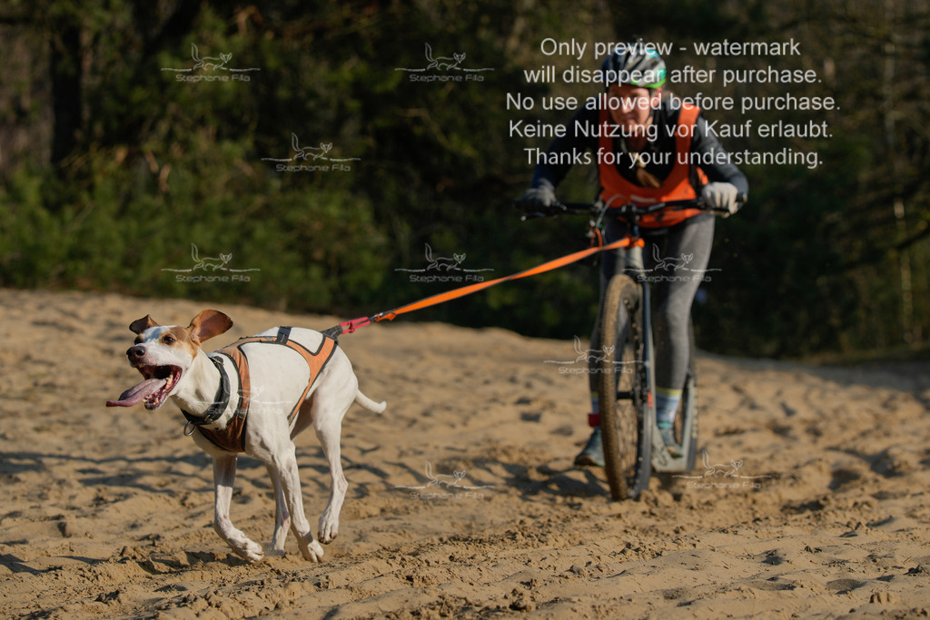 So_Scooter-158 | stephaniefillaphotographie - Realisiert mit Pictrs.com