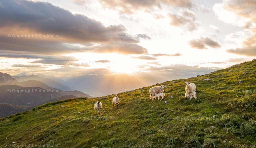 Poludnig_Karnische_Milchstrasse_2020-3 | piet_flosse