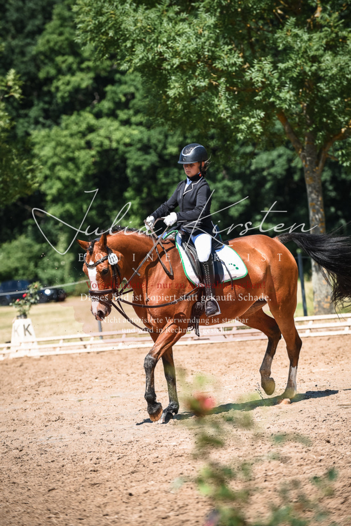DSC_3452 | Pferde- und Turnierfotografie in Westsachsen. Pferdeportraits, Auftragszeichnungen und intuitive Kunst.