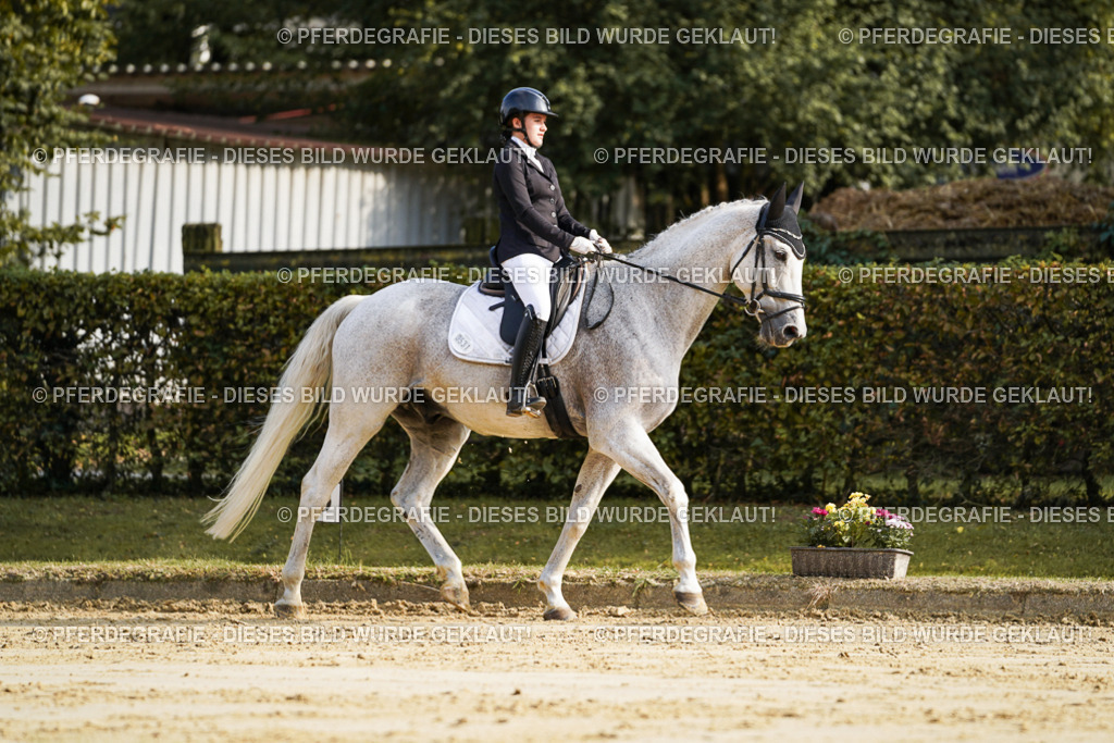 DSC05698 | Pferdegrafie