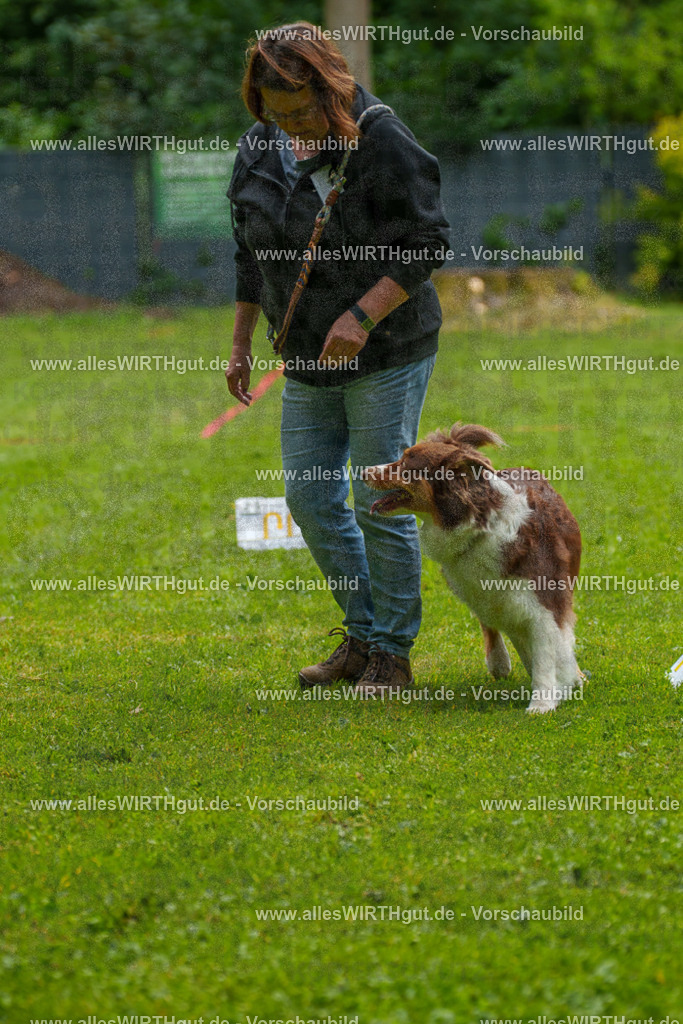 @allesWIRTHgut_Tierfotografie - www.allesWIRTHgut.de - 7R502640 | Professionelle Tierfotografie in Mönchengladbach von Daniel Wirth (allesWIRTHgut). Liebevolle & natürliche Bilder von Hunden & Katzen für unvergessliche Erinnerungen.