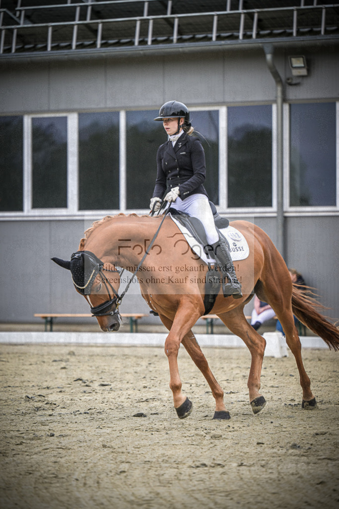 DOS_1432 | Entdecke hochwertige Reitturnierfotos von Foto Oger. Professionell, emotional und authentisch – jetzt Lieblingsmomente im Shop bestellen.Deutschlandweite Turnierfotografie. - Realisiert mit Pictrs.com