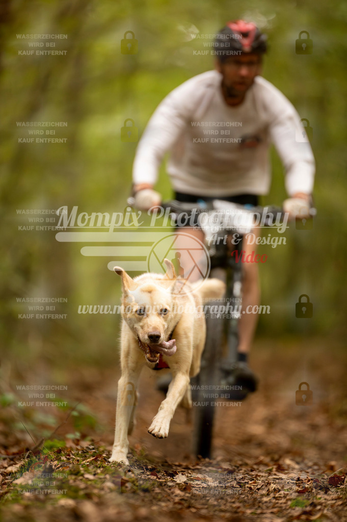 TSB_2023_E1_Bike-96 | PayLife