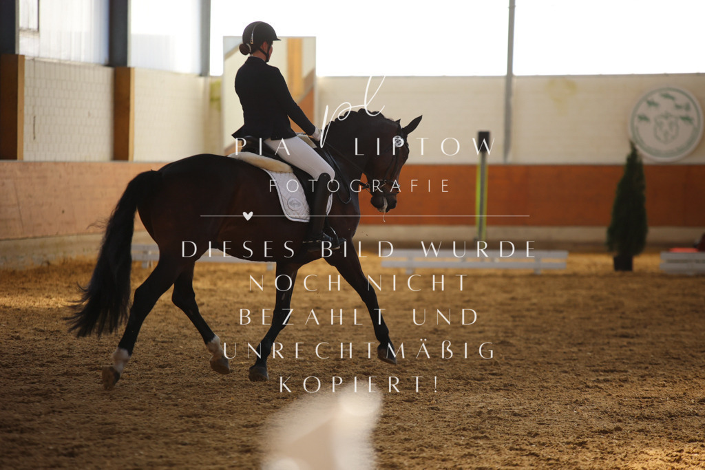 IMGT6893 | pl-fotografie