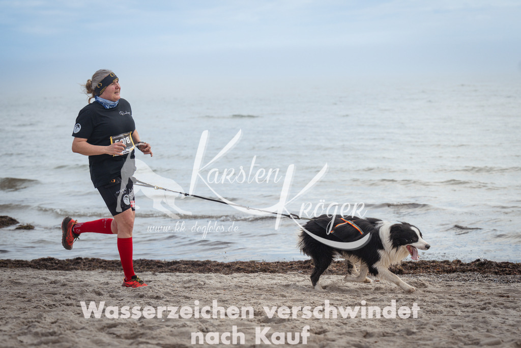 1145_ZZ90708 | kk-dogfotos