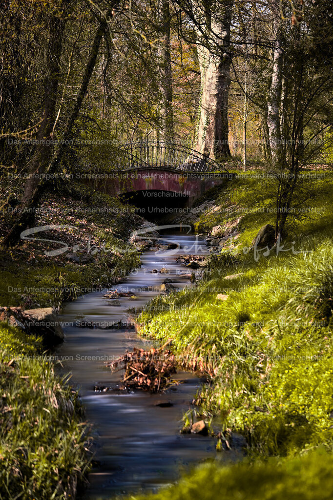 23-03-282023_03_28_DSCF0519 | People- und Tierfotografie, Imageaufnahmen, Veranstaltungsfotografie und Wandbilder aus der Natur ★ Made in Germany ✔️ Druck + Downloads ✔️ Naturfotografie in Top Qualität ★ schneller Versand, weltweite Lieferung! - Realisiert mit Pictrs.com