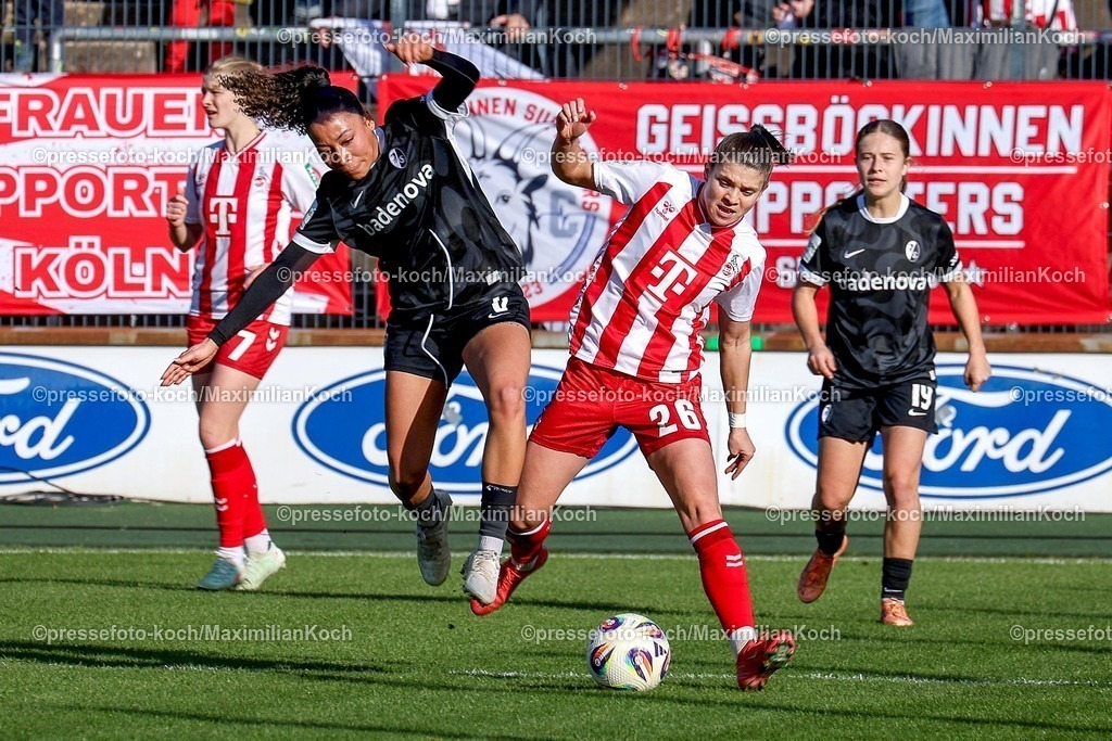 xSSCx24012601009 | 24.01.2026, xsscx, Frauen Fussball, 1. FC Koeln - SC Freiburg, 1. Fussball Bundesliga, 15. Spieltag, Franz-Kremer-Stadion, Saison 2025 2026: Nicole Ojukwu (SC Freiburg #6) im Zweikampf gegen Martyna Wiankowska (1. FC Koeln #26) DFB regulations prohibit any use of photographs as image sequences and or quasi-video. Photo: xSandraxScherningxPressefotoKochx
