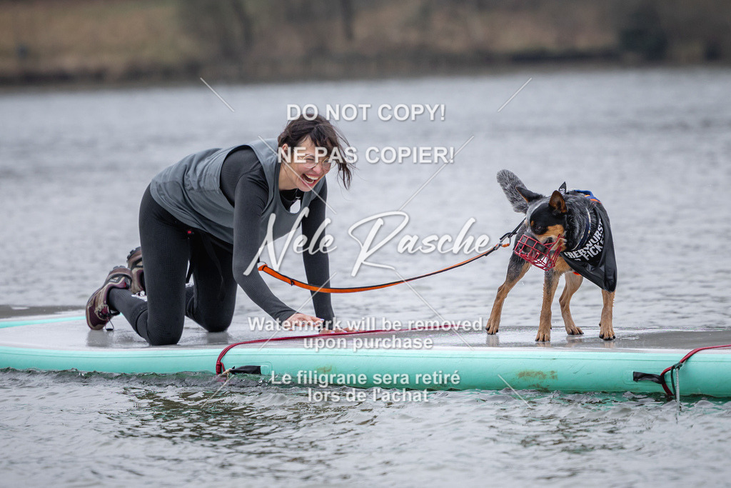 nelerasche_Hulsbeek_Sa1600-1700_254 | nelerasche