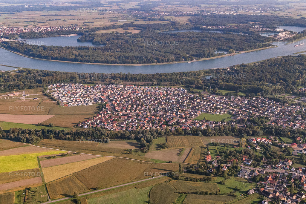 Luftbild: Ortsansicht am Rhein aus Nordwesten in Drusenheim im Bundesland Bas-Rhin in Frankreich. – Foto: P1000944.jpg vom 15.09.2014 durch Werner Riehm/FLY-FOTO.de – Auflösung des Originals: 5472 x 3648 px