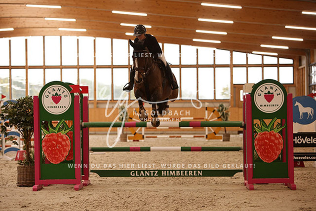 1J2A9430Jasmin Selke-John_ Clarimero M_ Kn145_ Glantz_ Hohen Wieschendorf | Foto- und Videografie für alles rund ums Pferd. Hochwertige Bilder und Videos vom Spring- und Dressurreiten, Voltigieren & mehr. Jetzt aktuelle Veranstaltungen und Preise im Shop ansehen. - Realisiert mit Pictrs.com