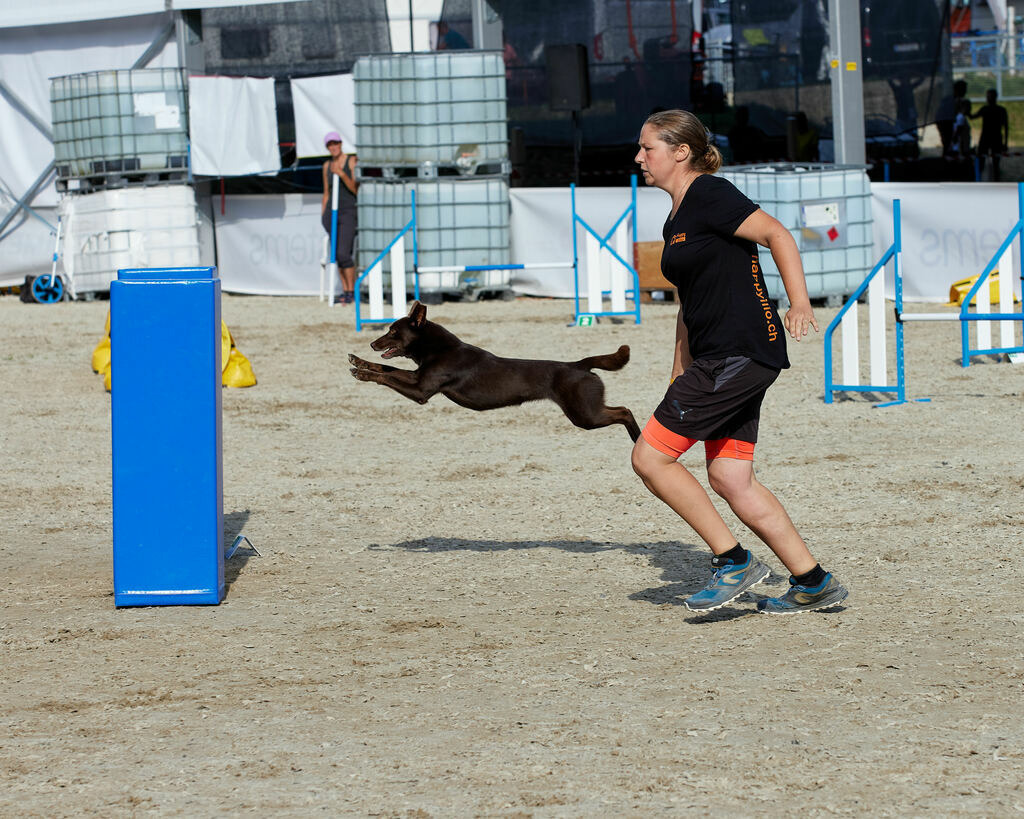 580B0062 | Peter Fridle Fotografie - Realisiert mit Pictrs.com