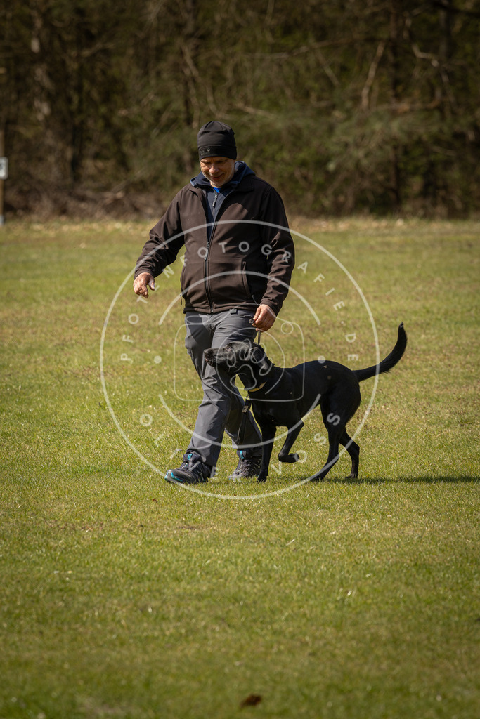 Pfotenfotografie_DV3A1199 | Hundefotografie, Tierfotograf, Pfotenfotografie, Fotoshooting Hund, Hunde Portrait, Hundesport, Hundeportraits, Heideshooting, Hunde, Sportfotograf, Hundefotograf, Turnierhundsport, THS,  - Realisiert mit Pictrs.com