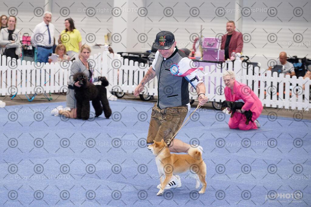 202406_ÖKV-IHA-Tulln24_NZ9_7768 | proPHOTO - Realisiert mit Pictrs.com