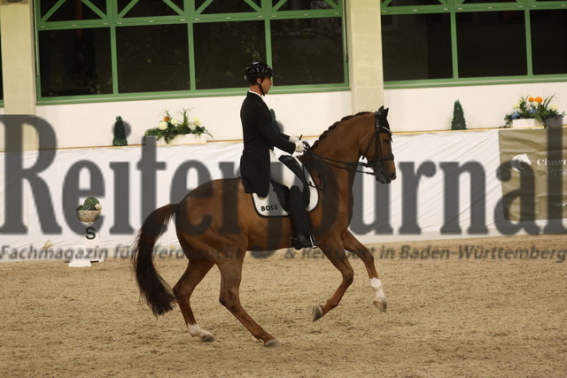 Gut Ising_2023_Prfg.Nr.03_Intermediaire II_Benjamin Werndl_Discover (25) | Alle Fotos der Reiterjournal Fotografin Doris Matthaes im Reiterjournal Online-Fotoshop. - Realisiert mit Pictrs.com