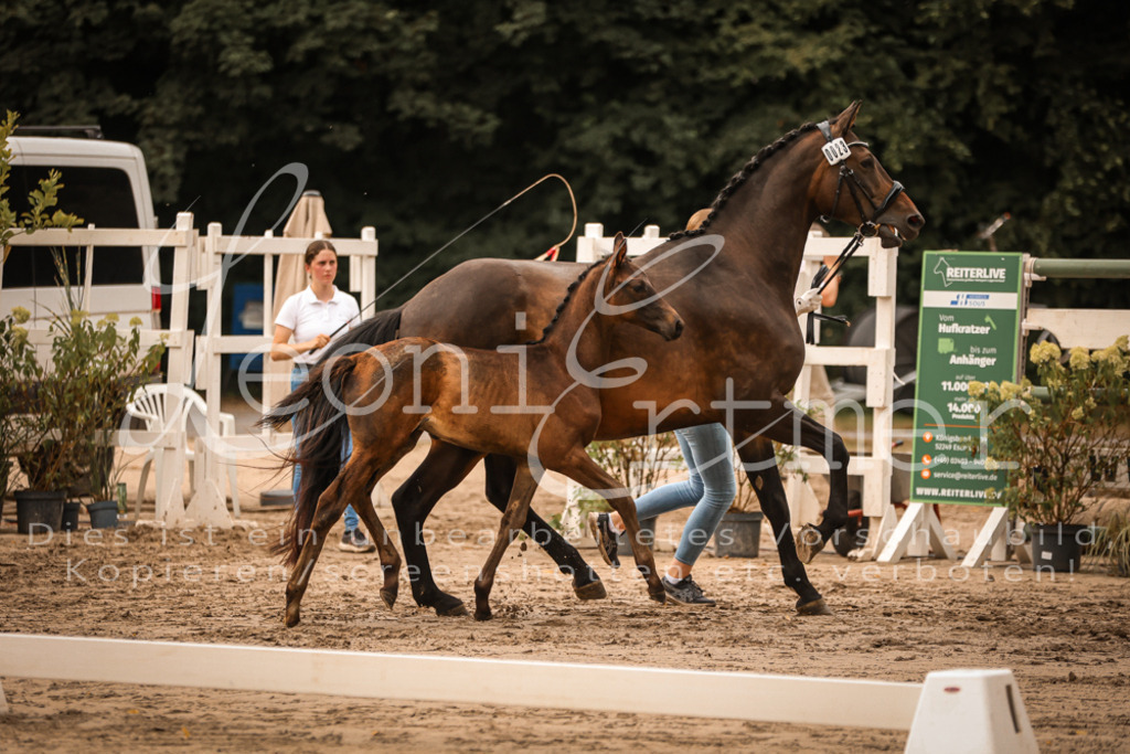 SaPA00327 | Leoni Ertmer Photography - Realisiert mit Pictrs.com