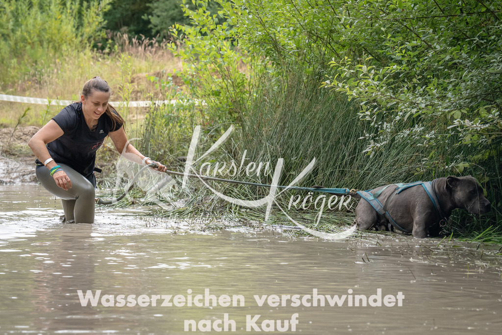 1450_ZZ93942 | kk-dogfotos