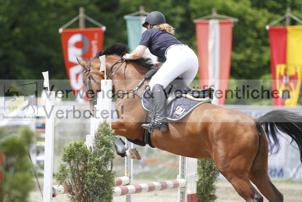 _MG_5299 | equestrian-live-com