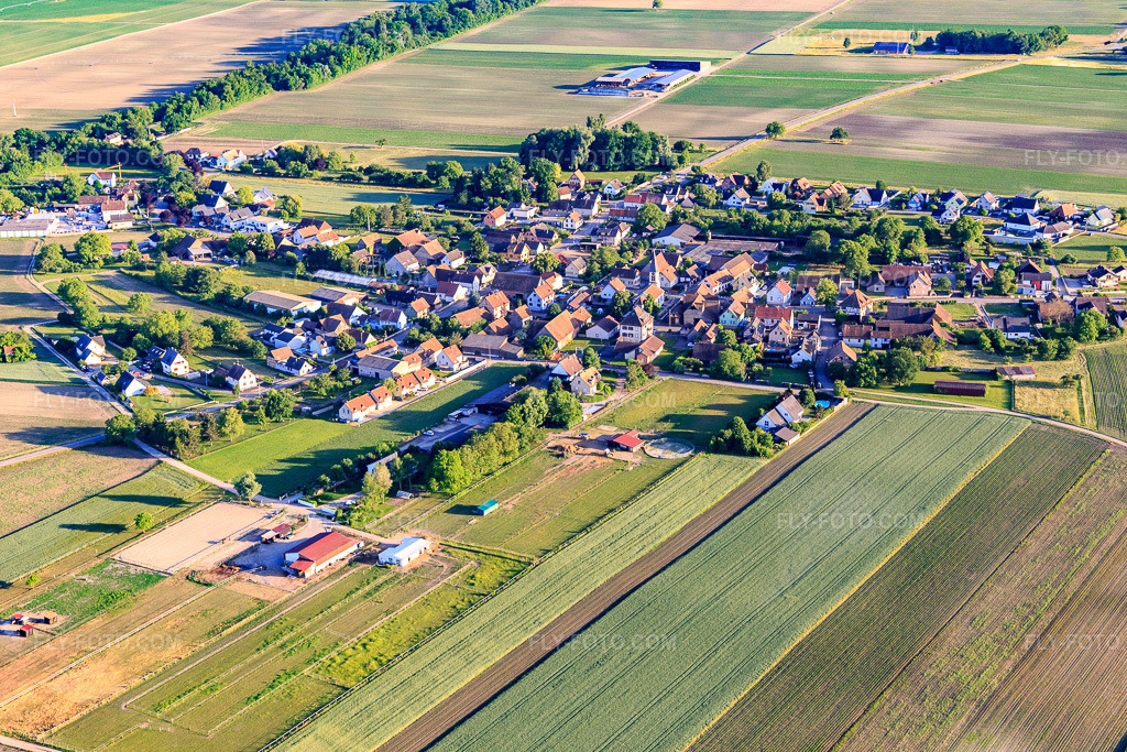 Aerial view: Village view from the north in Schwobsheim in the state Bas-Rhin, France. – Photo: IMG_147361.jpg taken on 05/29/2025 by Werner Riehm/FLY-FOTO.com – Resolution of the original: 5378 x 3585 px