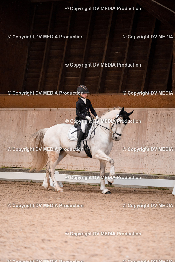 Dressur Tag 2-087 | dv-media-shop - Realisiert mit Pictrs.com