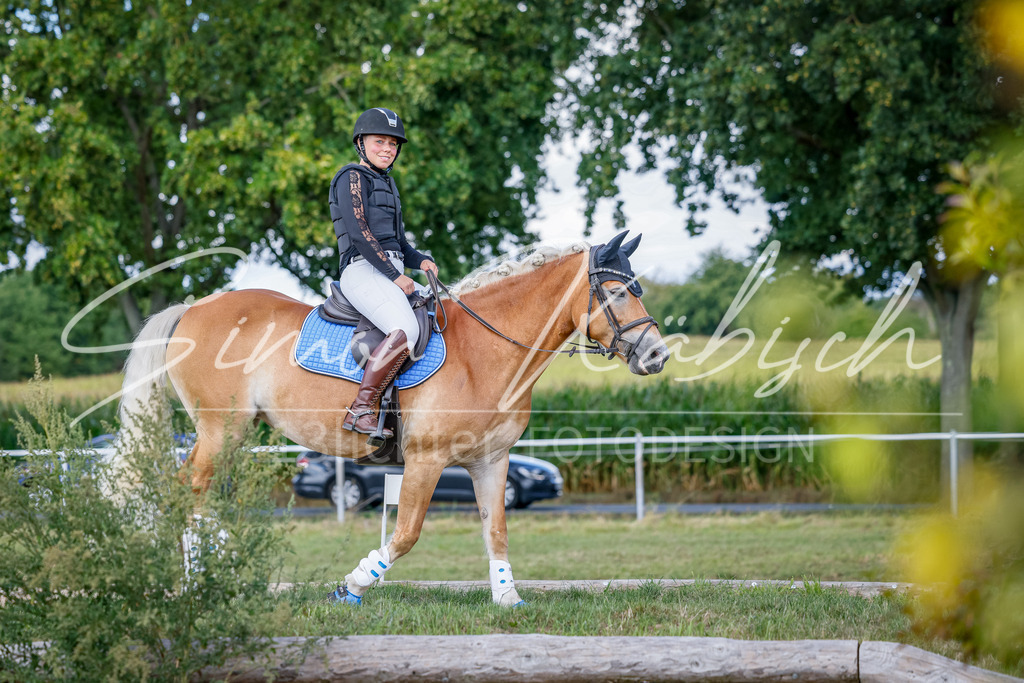 20250905-_3LI0241 | Tierfotografie Pferde, Hunde, Katzen, Haustiere.
Turnierfotografie Reitturniere, Reiten, Springreiten, Dressur in Hanau, dem Main-Kinzig-Kreis und dem Rhein-Main- Gebiet um Frankfurt