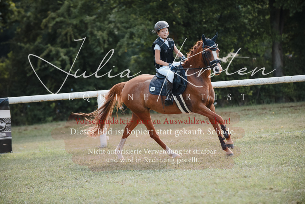 DSC_5233 | Pferde- und Turnierfotografie in Westsachsen. Pferdeportraits, Auftragszeichnungen und intuitive Kunst.