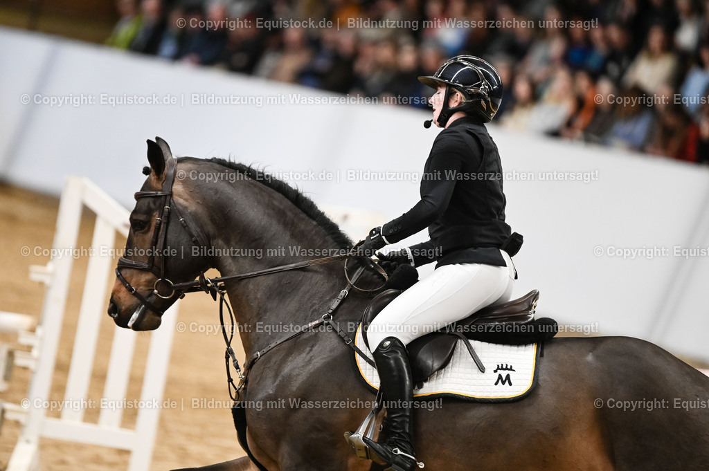 20260307_Hengstvorstellung-Marbach_0121 | equistock