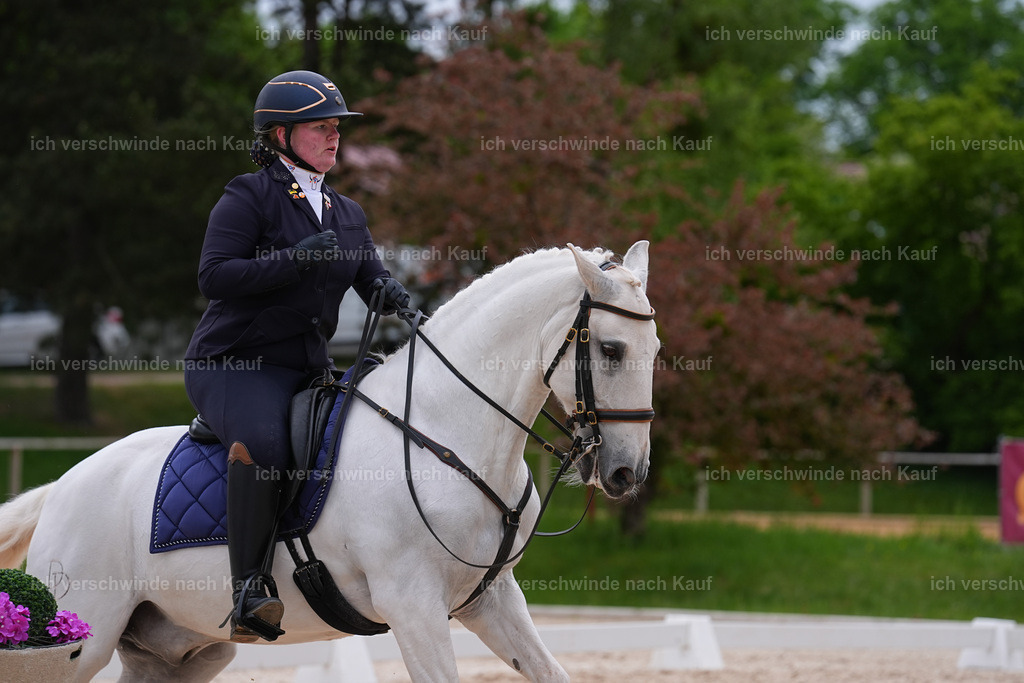 PI26_DR_251_StoibphotographySIN07177.jpg | working equitationturnier fotograf videograf stoibphotography marixx film working equitation deutschland reitsport turnierfotografie eventfotografie equestrian events