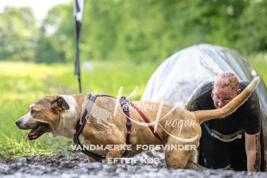 1302_ZZ94799 | kk-dogfotos