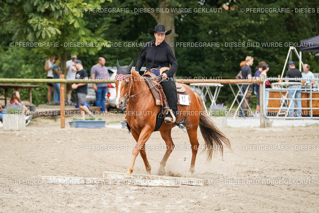 DSC08097 | Pferdegrafie