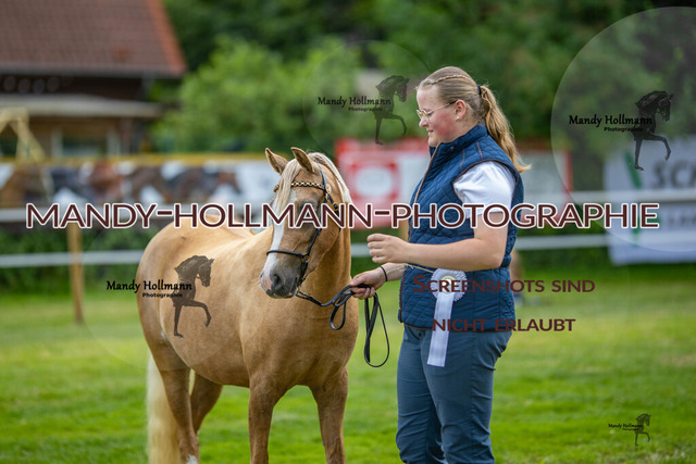 IG WELSH VM 2024-593 | mandyhollmannphotographie
