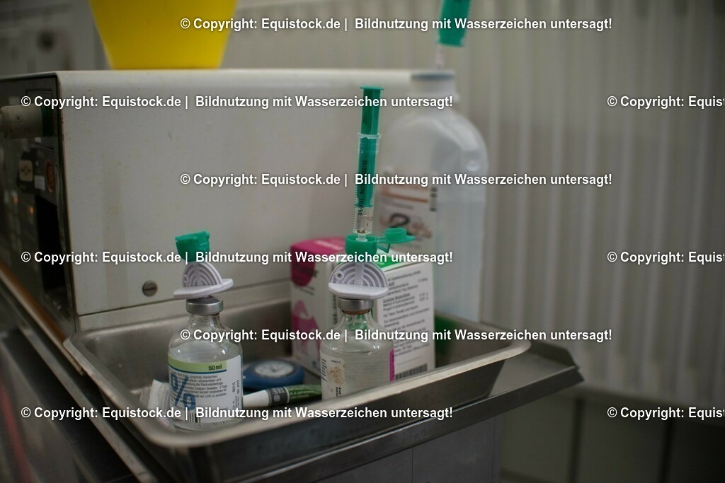 20160315_Arthroskopie_0040 | equistock