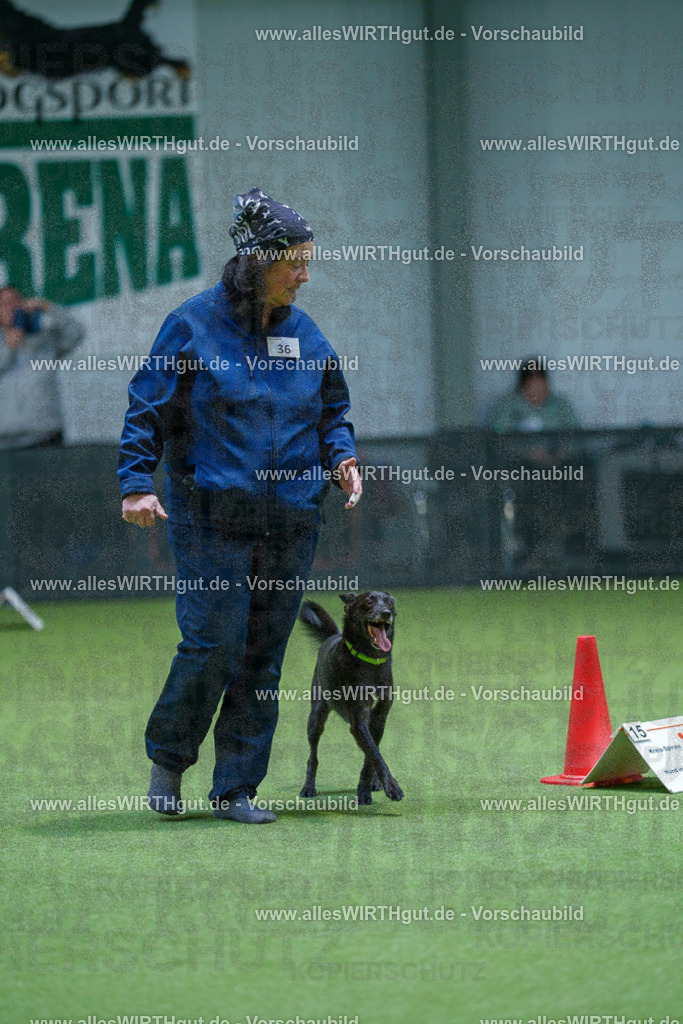 7R506008 | Professionelle Tierfotografie in Mönchengladbach von Daniel Wirth (allesWIRTHgut). Liebevolle & natürliche Bilder von Hunden & Katzen für unvergessliche Erinnerungen.