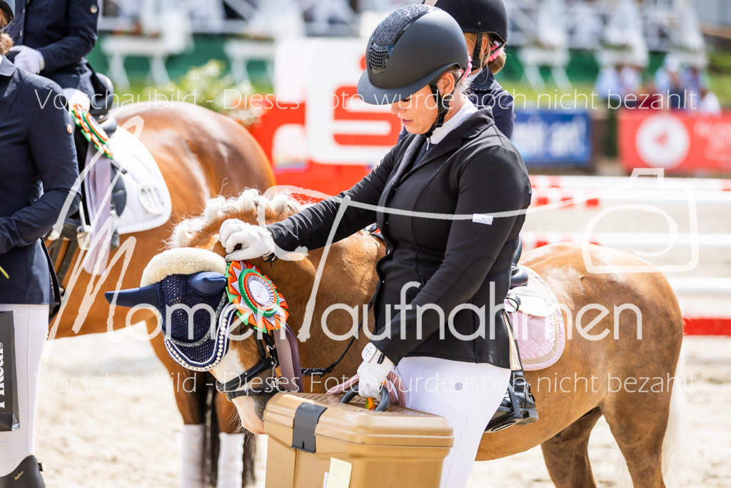 BHO-Führzügel2-023 | MomenTaufnahmen Pferdesportfotos