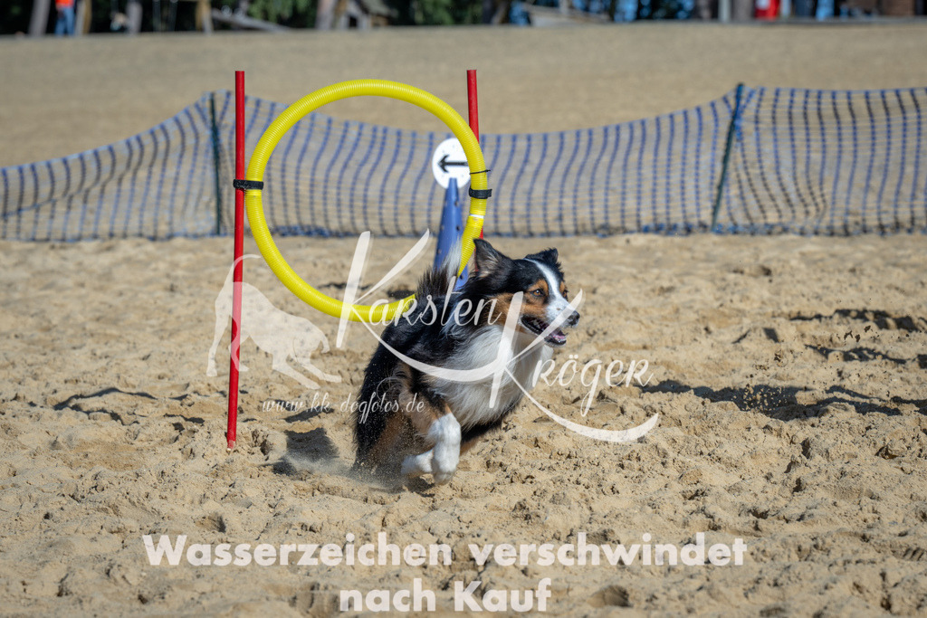 1129_ZZ91293 | kk-dogfotos
