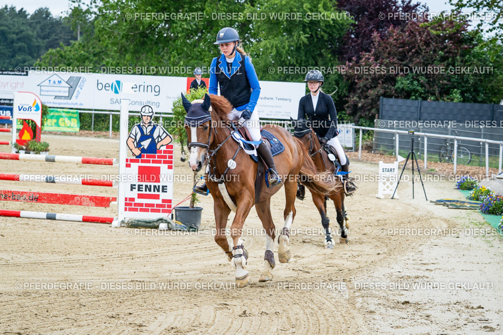 DSC03911 | Pferdegrafie