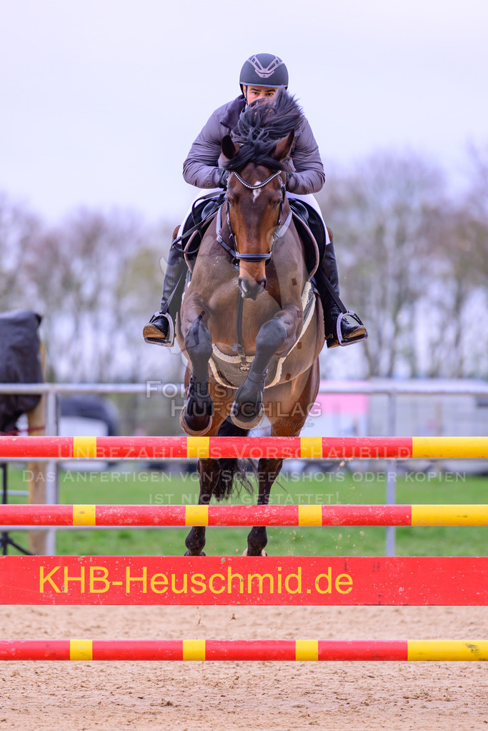 12042026-Mammendorf-Prfg44-0074 | Fokus Hufschlag Fotografie - Realisiert mit Pictrs.com