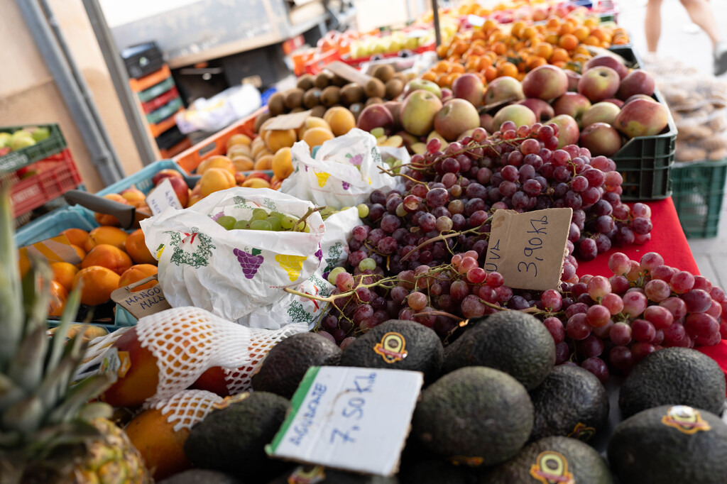 Mittelmeer (16) | hgt-foto