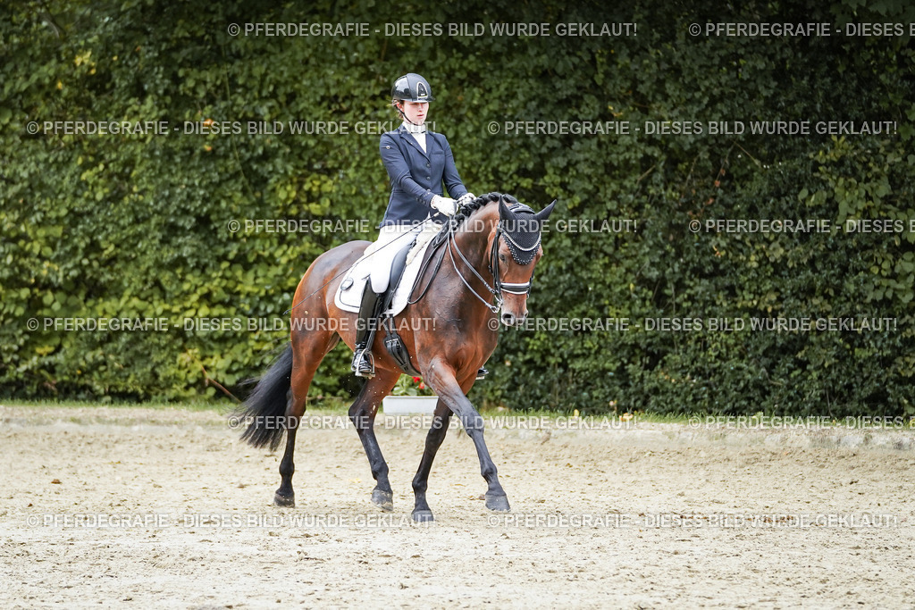 DSC01959 | Pferdegrafie