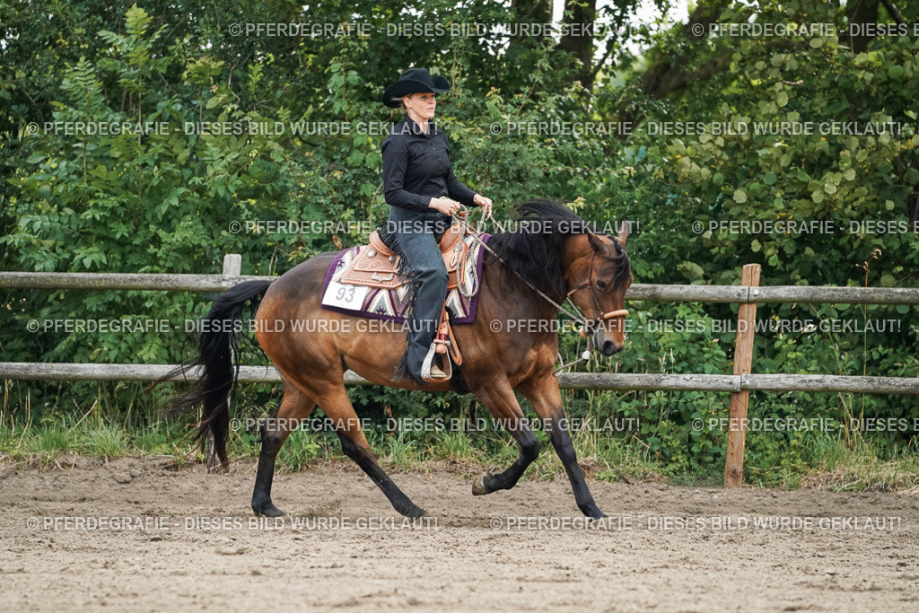 DSC03396 | Pferdegrafie