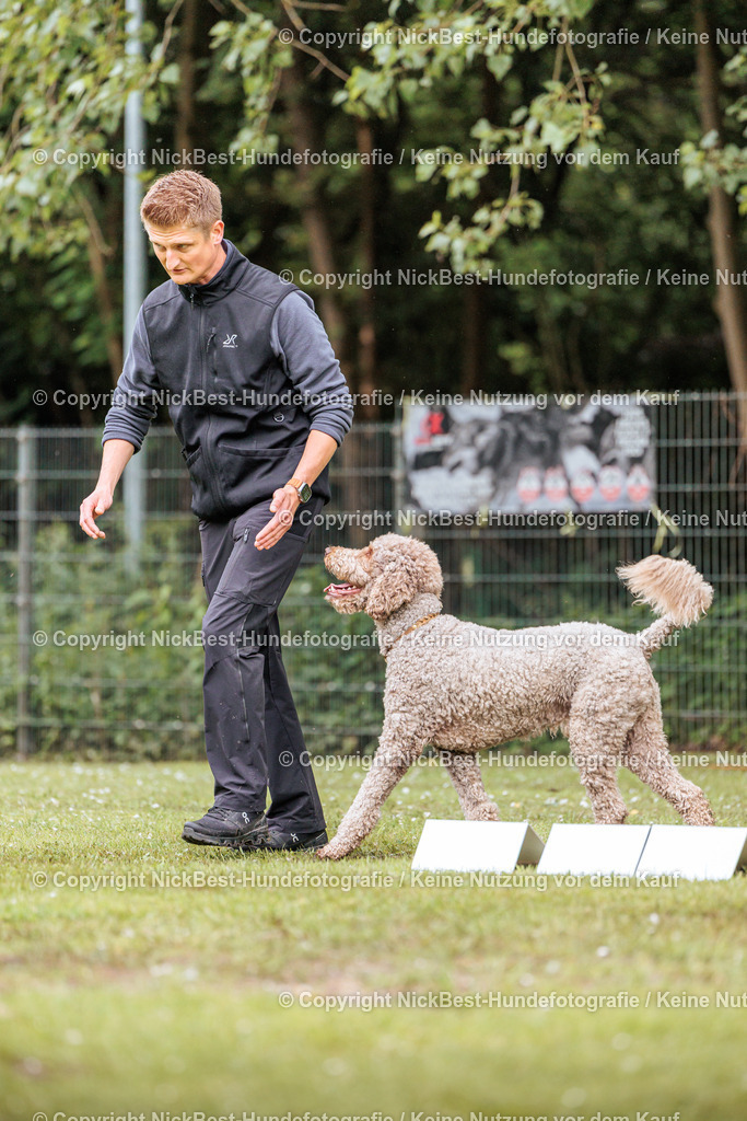 RO-Blumenthal-2026-Nickbest-Hundefotografie-4192 | Dein Hund! Dein Moment! Deine Erinnerungen! Hundefotografie in Bremen Blumenthal. Ich fange die besonderen Momente deines Vierbeiners ein – ob Indoor mit Blitzanlage oder in der freien Natur. Sicher dir dein Moment und dein Termin für eure Erinnerungen.