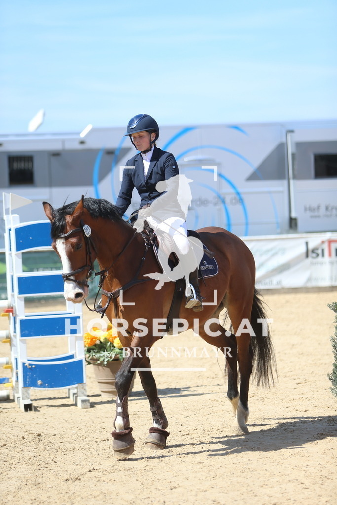 DL2Q9853 | Willkommen bei Brunnmayr - Design & Fotografie – Ihrem Spezialisten für Reitturniere und Pferdeveranstaltungen in Oberösterreich, Salzburg und Bayern! Seit über 17 Jahren sind wir leidenschaftlich dabei.