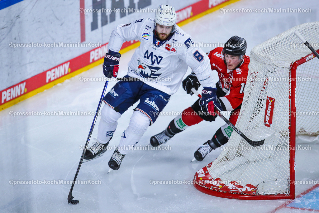 KoeDEL08032401012 | 08.03.2024, Köln, Eishockey, Penny DEL, 52. Spieltag, Lanxess-Arena, Kölner Haie - Adler Mannheim: Jordan Murray (Adler Mannheim) gegen Justin Schütz (Kölner Haie)