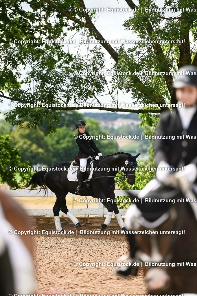 20230716_10-1_Reiter-WB Schritt - Trab - Galopp_0157 | equistock