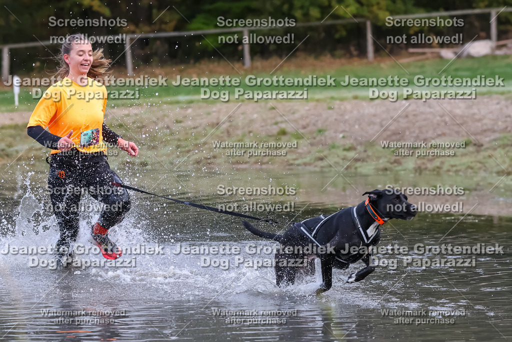 Dog Paparazzi - Strongdog 10-25-6326 | Dog Paparazzi Jeanette Grottendiek Fotografie & Videografie - Realisiert mit Pictrs.com