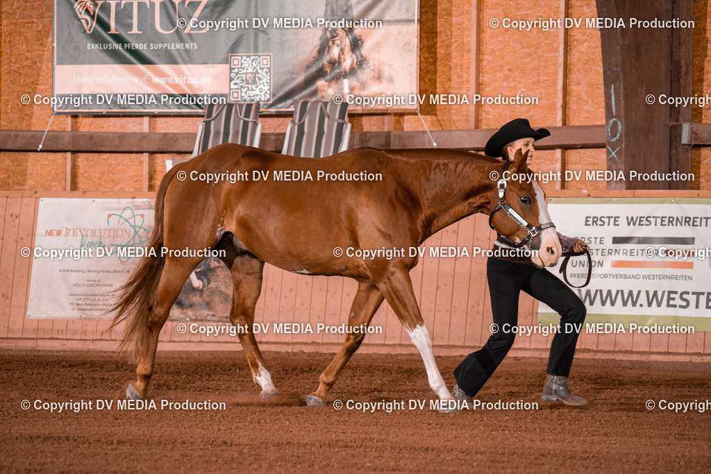 NE201492 | dv-media-shop - Realisiert mit Pictrs.com