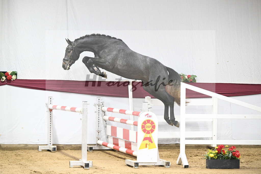 Kat-Nr. 87 Simply de Regor x Carano_PBM Pfefferle GmbH_47253041 | hf-fotografie - Realisiert mit Pictrs.com