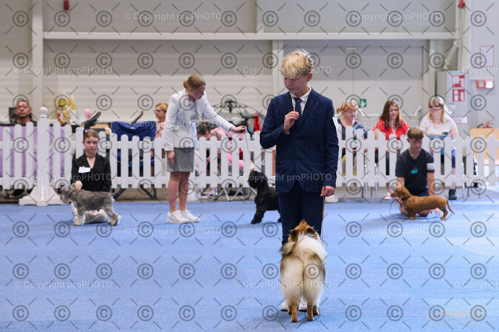 202406_ÖKV-IHA-Tulln24_DSC_3537 | proPHOTO - Realisiert mit Pictrs.com